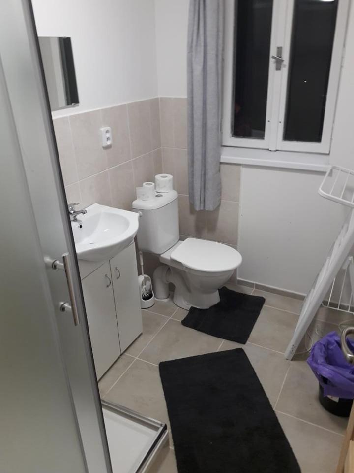 Apartman Pod Marianskou Horou Desná Екстериор снимка